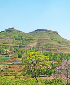 王選：東臺(tái)梁